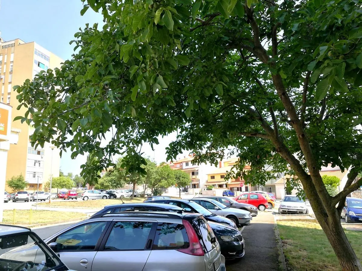 Apartment Harmony Pula Croatia